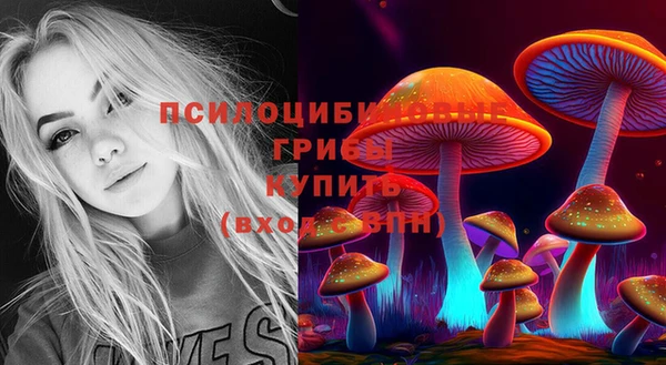 марки nbome Нязепетровск