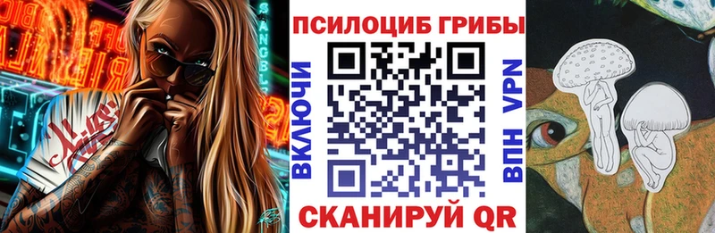 Псилоцибиновые грибы GOLDEN TEACHER Заволжье