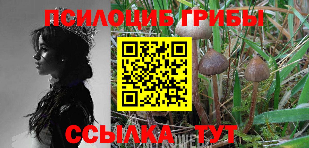 Галлюциногенные грибы GOLDEN TEACHER  Галлюциногенные грибы прущие грибы  Вход с VPN  Заволжье 