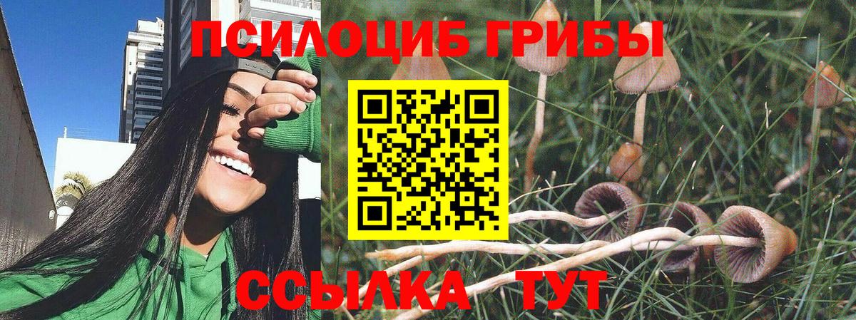 Галлюциногенные грибы ЛСД  Галлюциногенные грибы GOLDEN TEACHER  Заволжье 