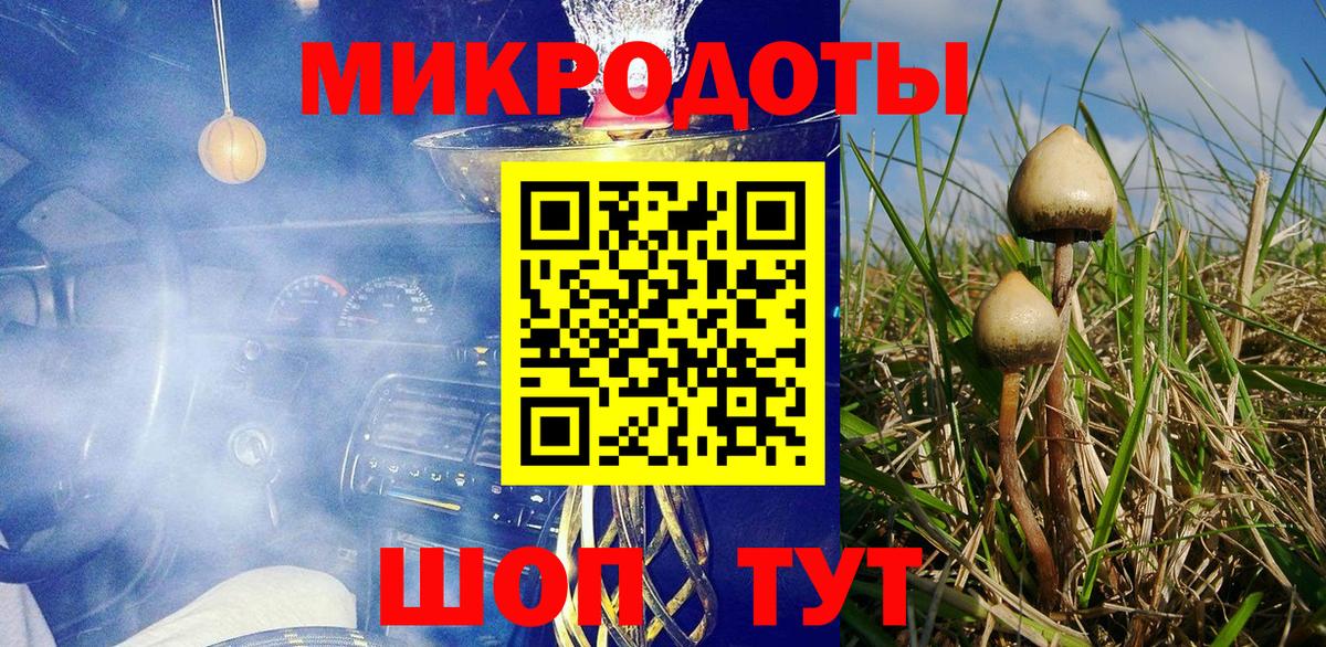 Галлюциногенные грибы GOLDEN TEACHER Заволжье